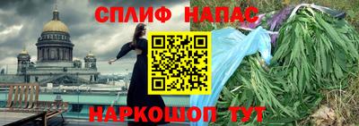 гидра Можга
