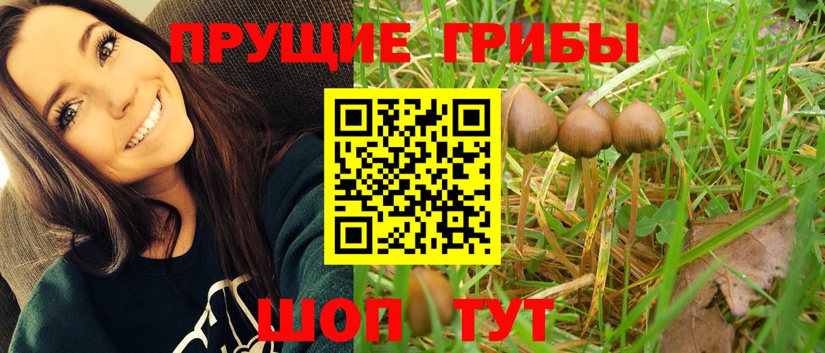 МЕТАМФЕТАМИН  Канабис  Конаково  МДМА  Меф МЯУ МЯУ   Гашиш  КОКАИН  Вход с VPN 