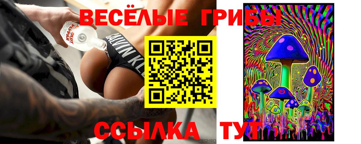 Галлюциногенные грибы Psilocybe  Вход с VPN  Галлюциногенные грибы Psilocybine cubensis  Конаково 